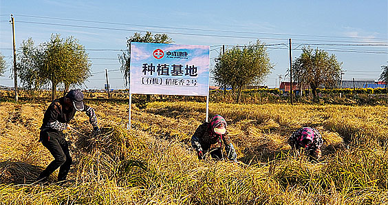 插圖-生產(chǎn)基地.jpg